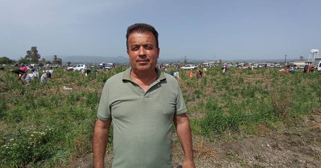 Soğanları satamayınca bedava yaptı üç bin kişi tarlayı talan etti. Ülkenin getirilen hali bu... - Resim: 7